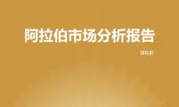 【区域市场分析报告 - 中东】阿拉伯市场分析报告