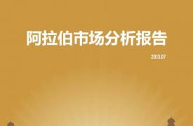 【区域市场分析报告 - 中东】阿拉伯市场分析报告