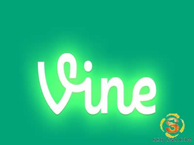 Vine