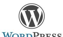 【软件工具】wordpress登录用户名支持中文