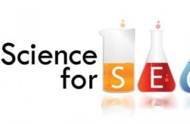 【SEO网络营销顾问】SEO顾问含义、职责、服务对象、趋势