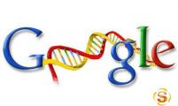 【SEO工具】Google网站流量统计工具及操作介绍