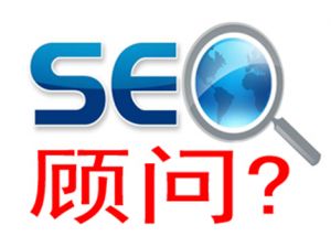 seo工具 seo顾问