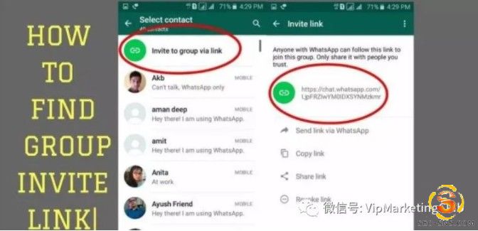群组 WhatsApp客户开发 